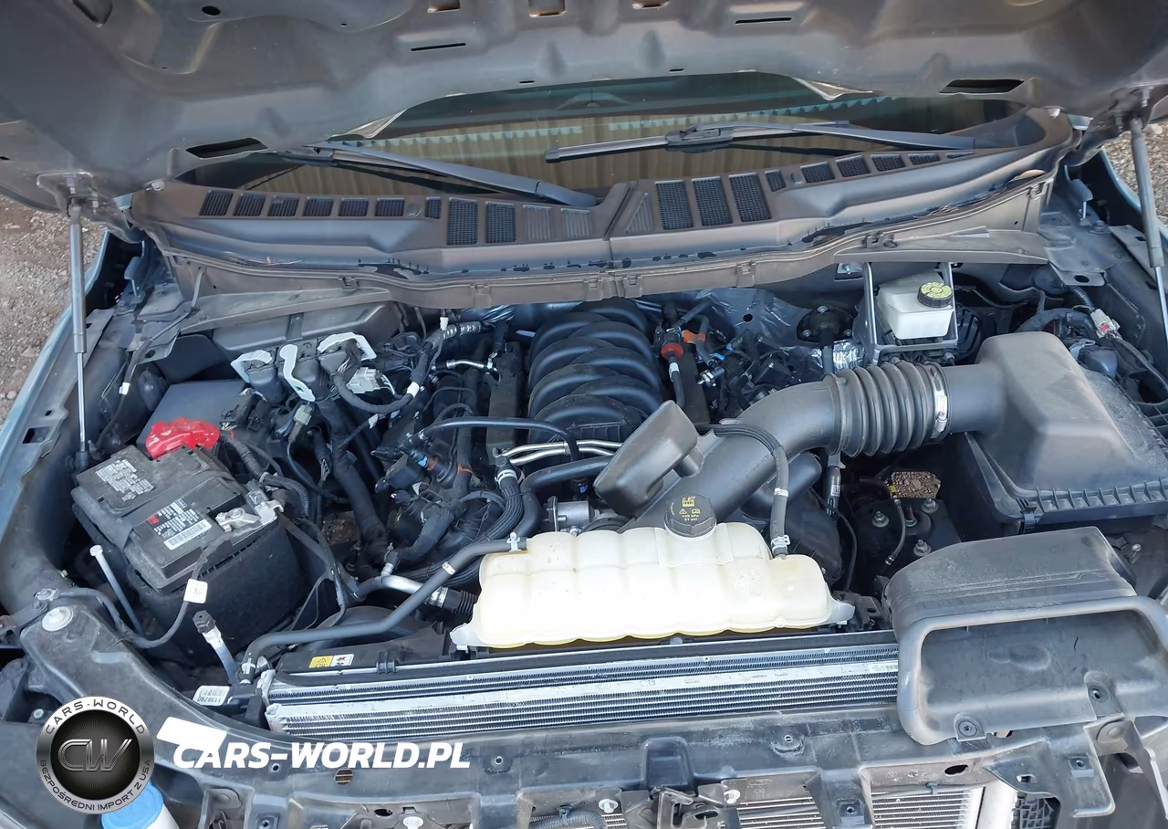 2023 Ford F-150 Xl VIN:1FTEW1C58PKE38104 - 10
