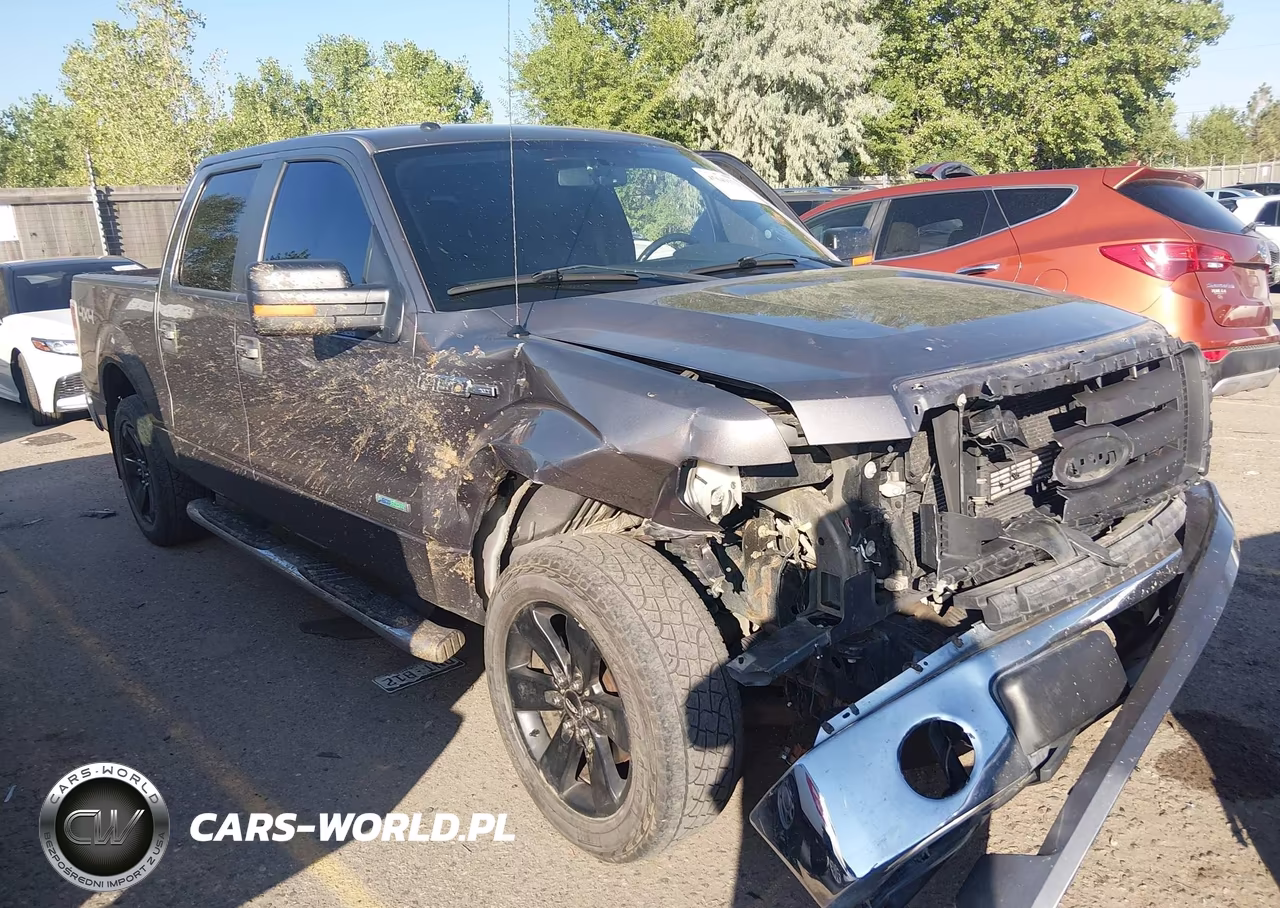 2014 Ford F-150 Xlt VIN:1FTFW1ET9EKF37902 - 11