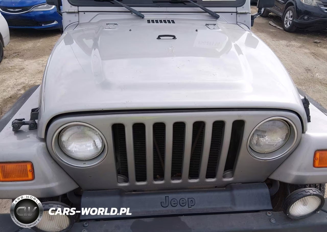 2000 Jeep Wrangler Sport VIN:1J4FA49S6YP729782 - 6