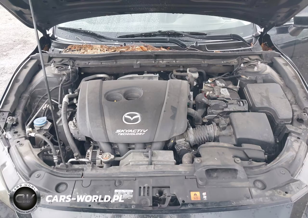 2016 Mazda Mazda3 I Touring VIN:JM1BM1W78G1343473 - 10