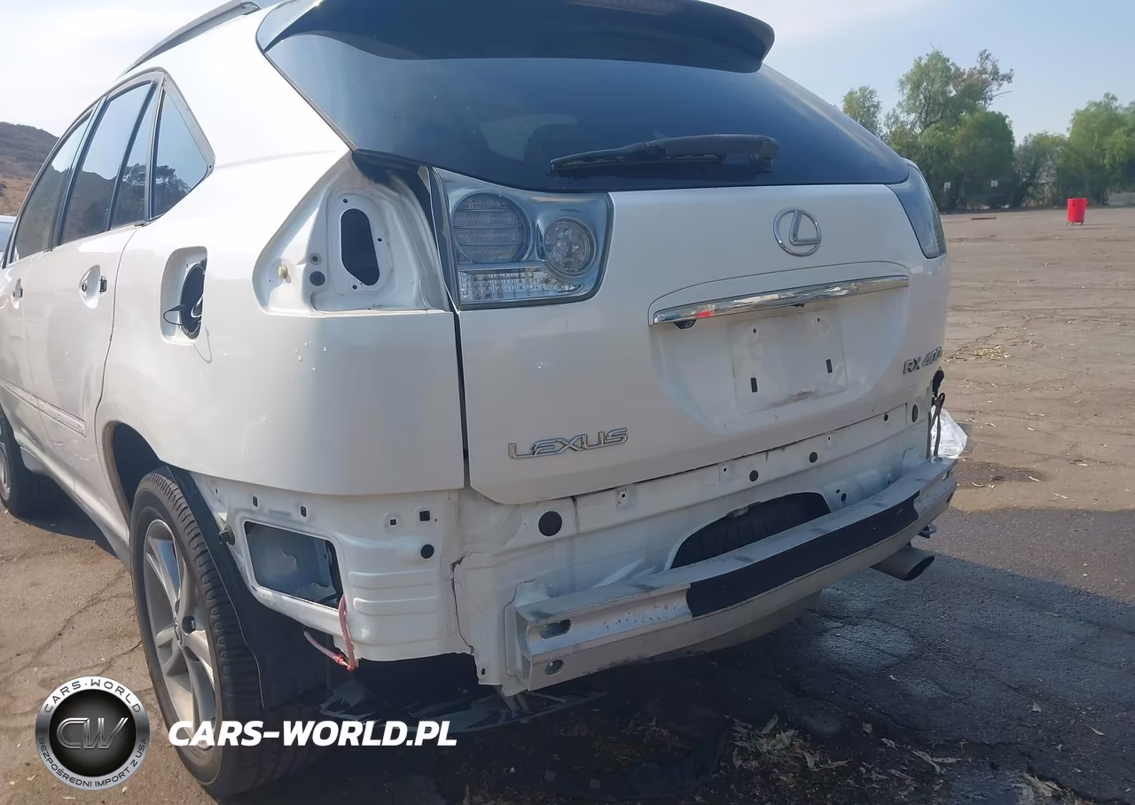 2006 Lexus Rx 400H VIN:JTJGW31U562000120 - 6