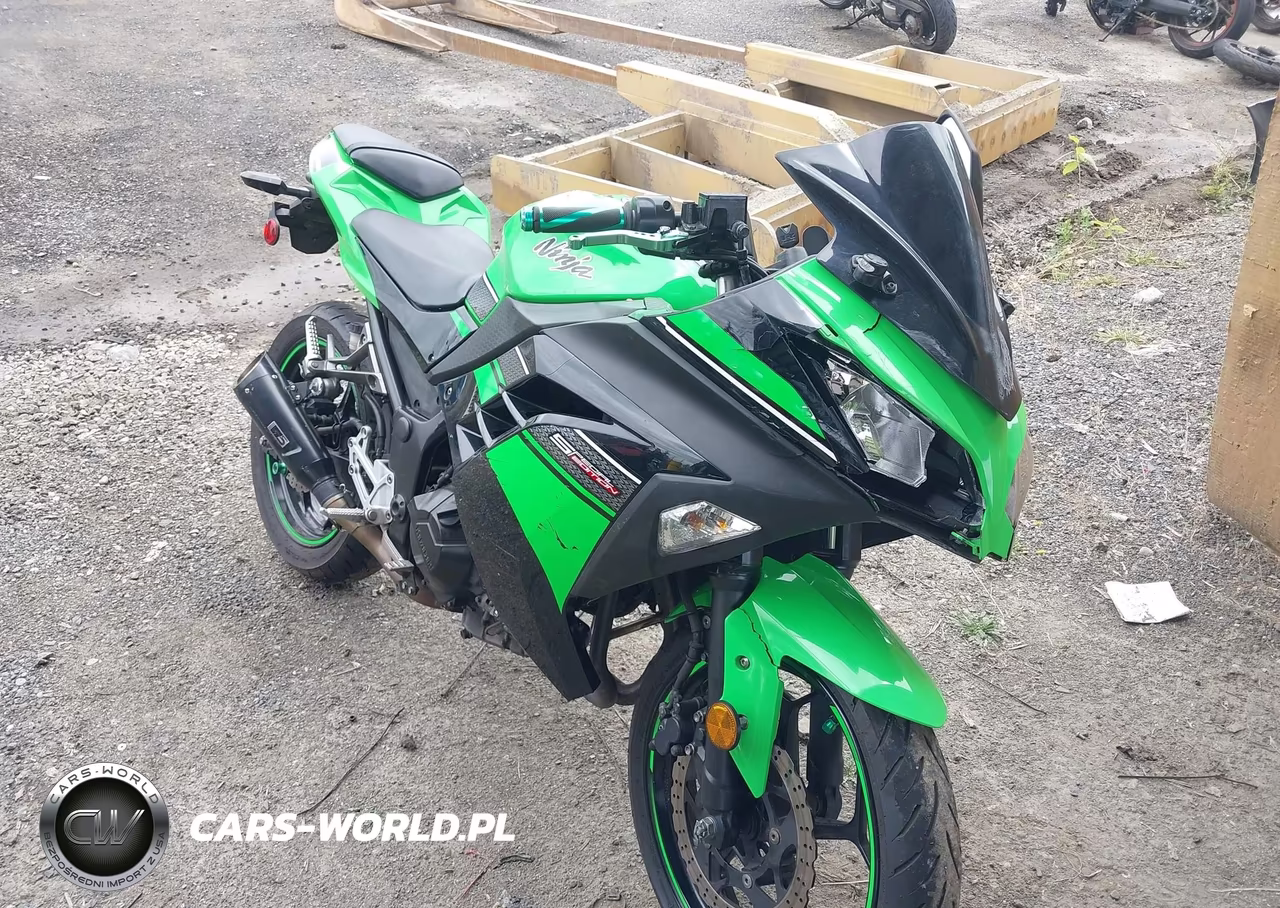2013 Kawasaki Ex300 A VIN:JKAEX8A19DDA06611 - 1