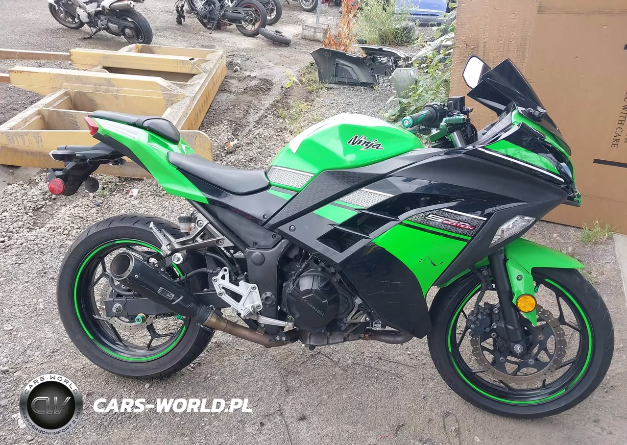2013 Kawasaki Ex300 A VIN:JKAEX8A19DDA06611 - 12