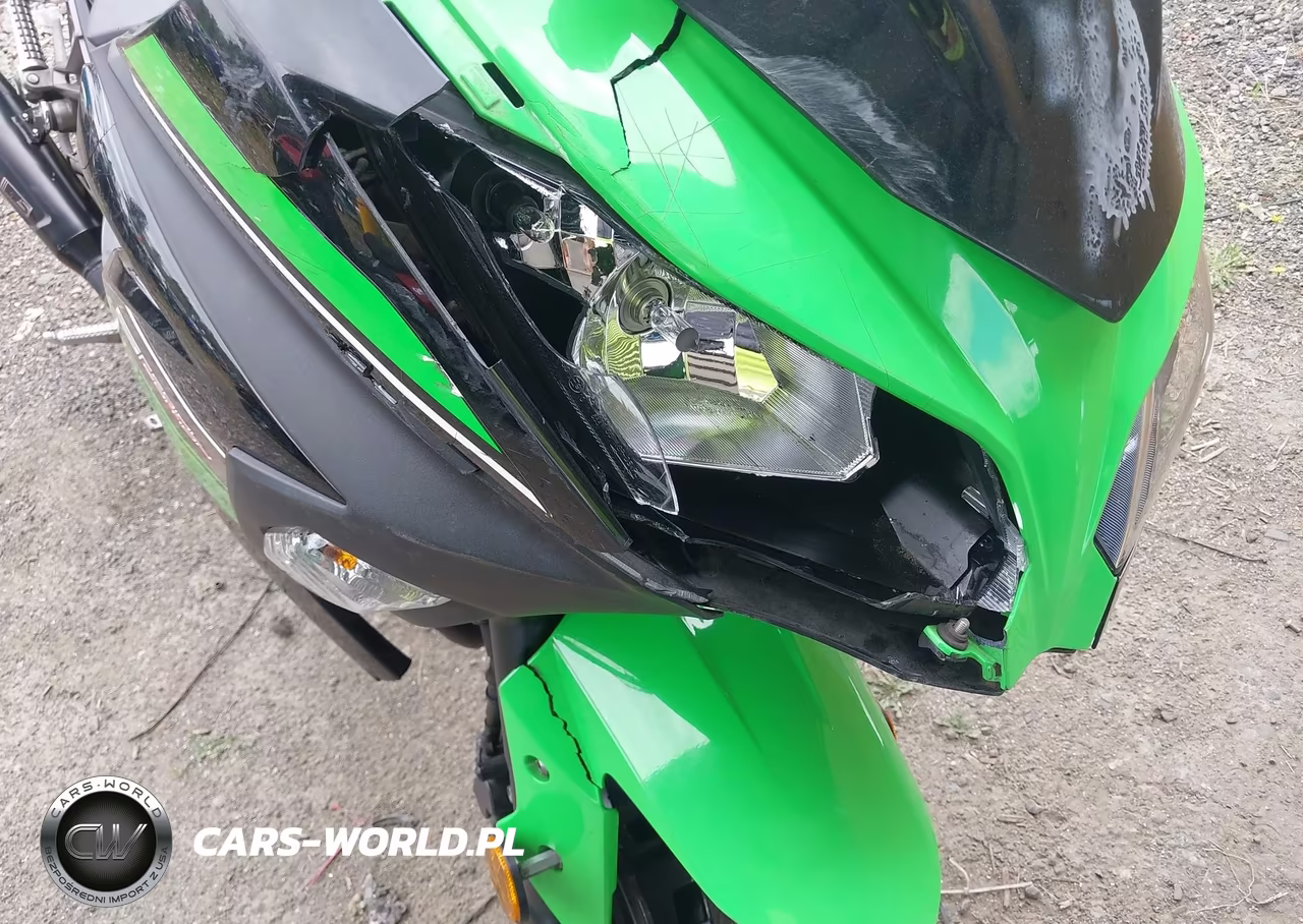 2013 Kawasaki Ex300 A VIN:JKAEX8A19DDA06611 - 15