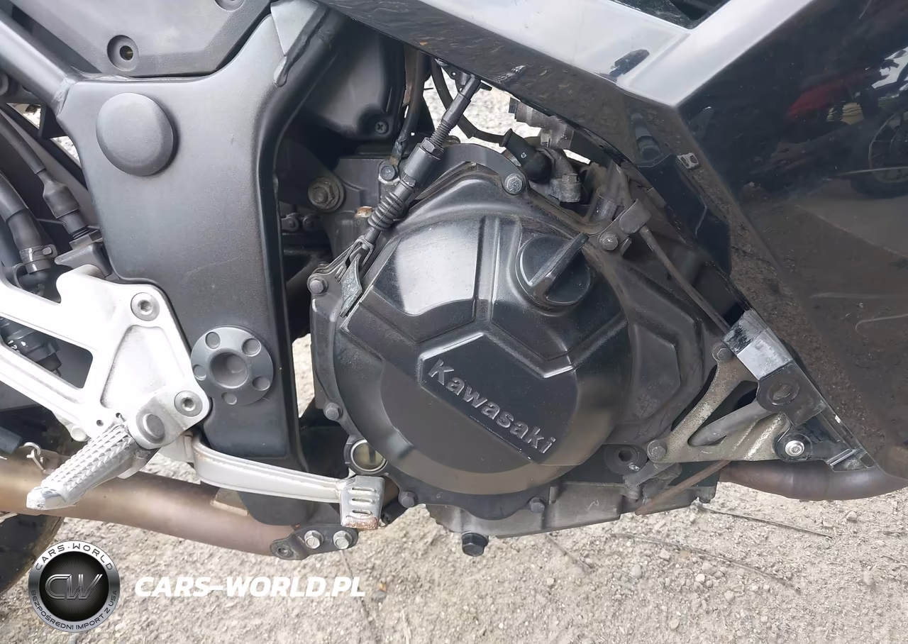 2013 Kawasaki Ex300 A VIN:JKAEX8A19DDA06611 - 8
