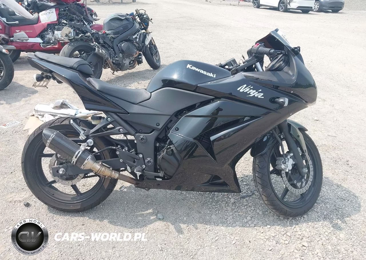 2009 Kawasaki Ex250 J VIN:JKAEXMJ139DA20763 - 13
