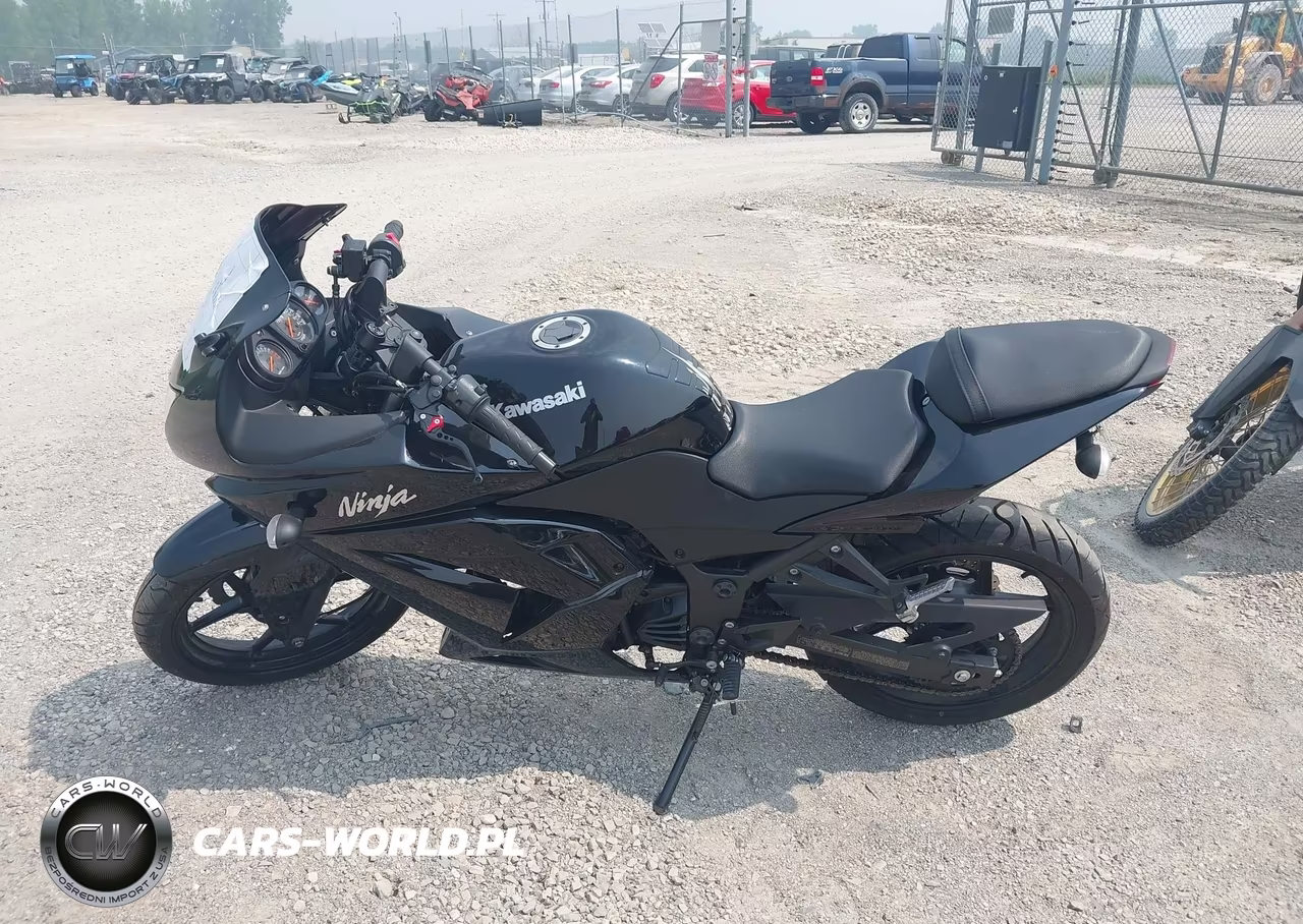 2009 Kawasaki Ex250 J VIN:JKAEXMJ139DA20763 - 14