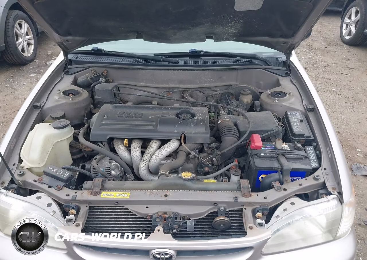 2000 Toyota Corolla Ce VIN:2T1BR12E5YC356667 - 10
