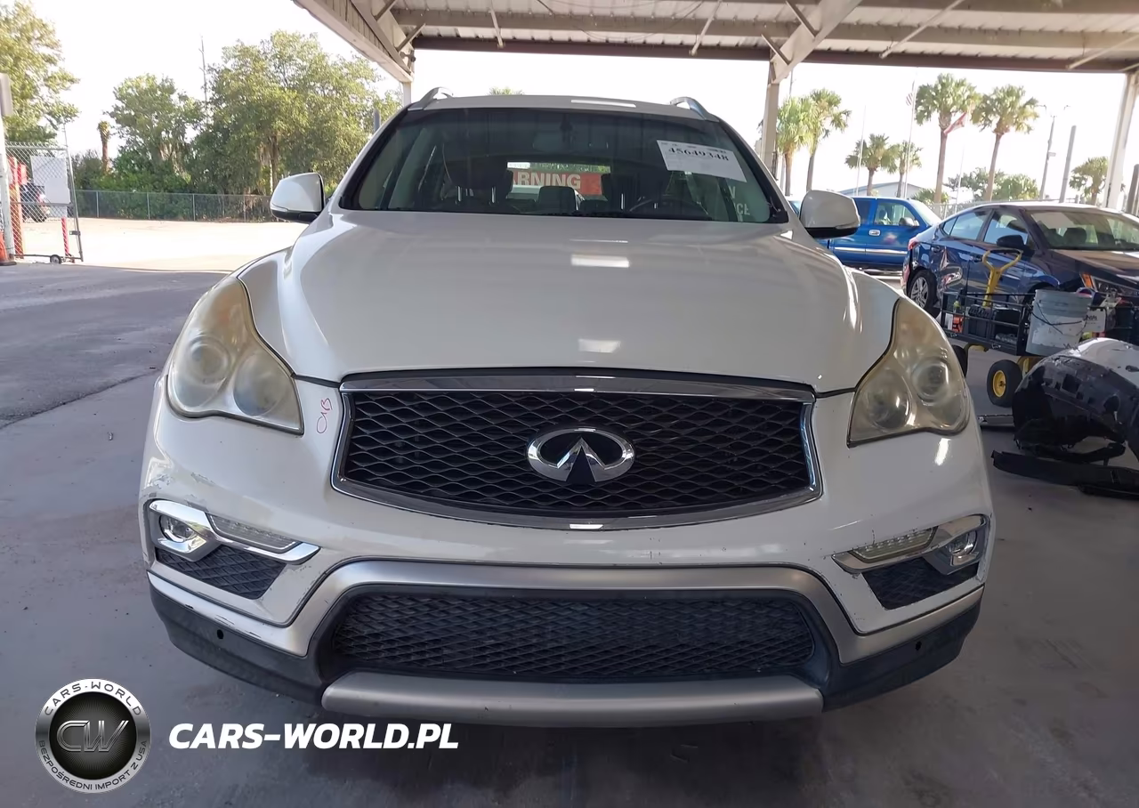 2017 Infiniti Qx50 VIN:JN1BJ0RP7HM386333 - 13