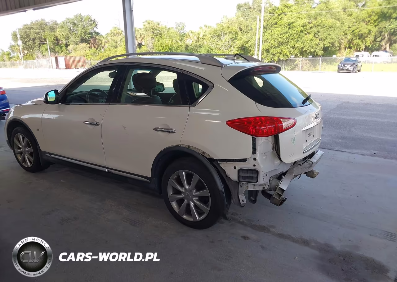 2017 Infiniti Qx50 VIN:JN1BJ0RP7HM386333 - 3