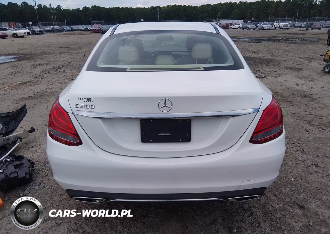 2016 Mercedes-Benz C 300 VIN:55SWF4JB7GU154893 - 17