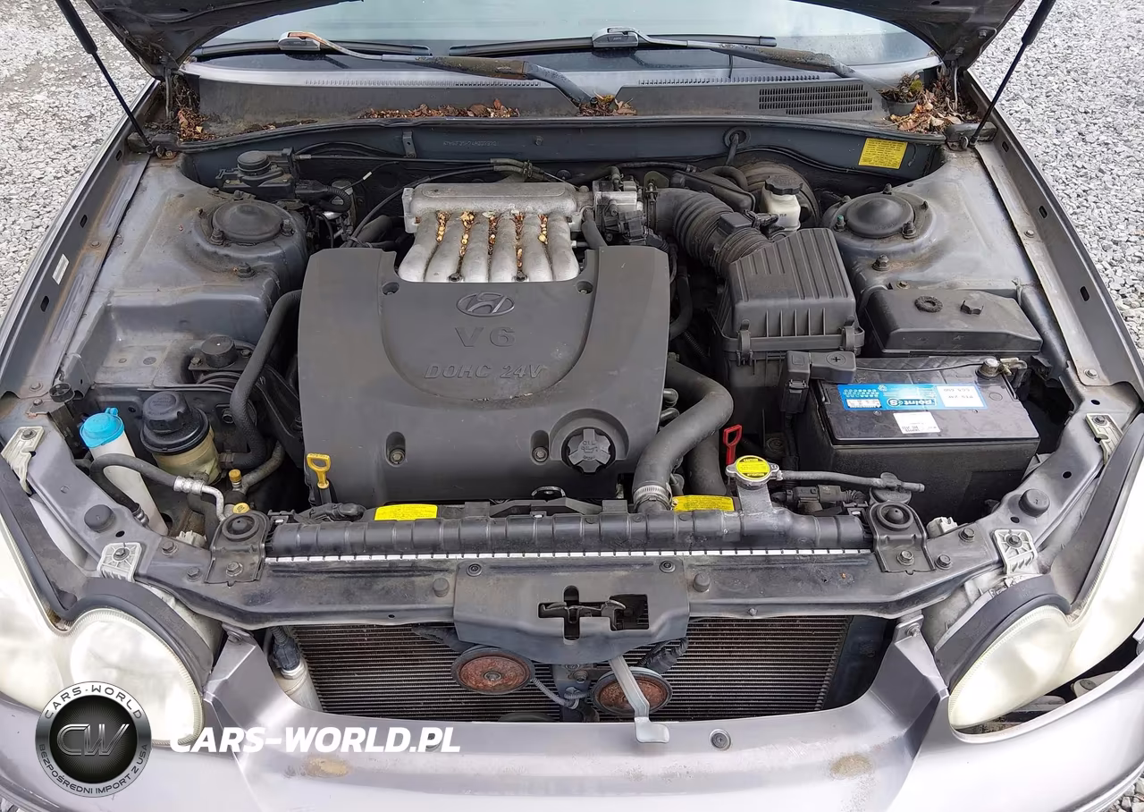 2004 Hyundai Sonata Gls-Lx VIN:KMHWF35H74A007970 - 10
