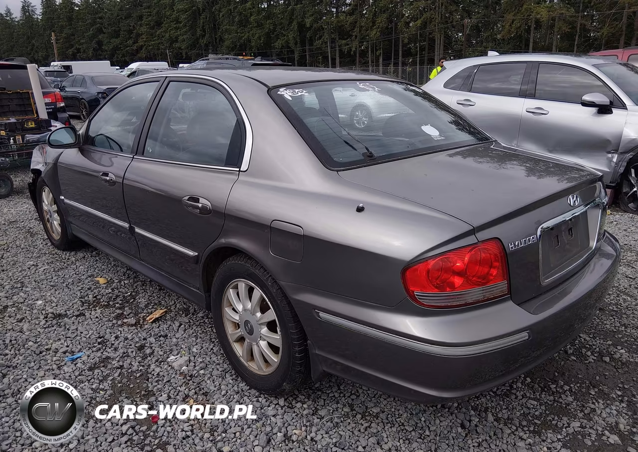 2004 Hyundai Sonata Gls-Lx VIN:KMHWF35H74A007970 - 3