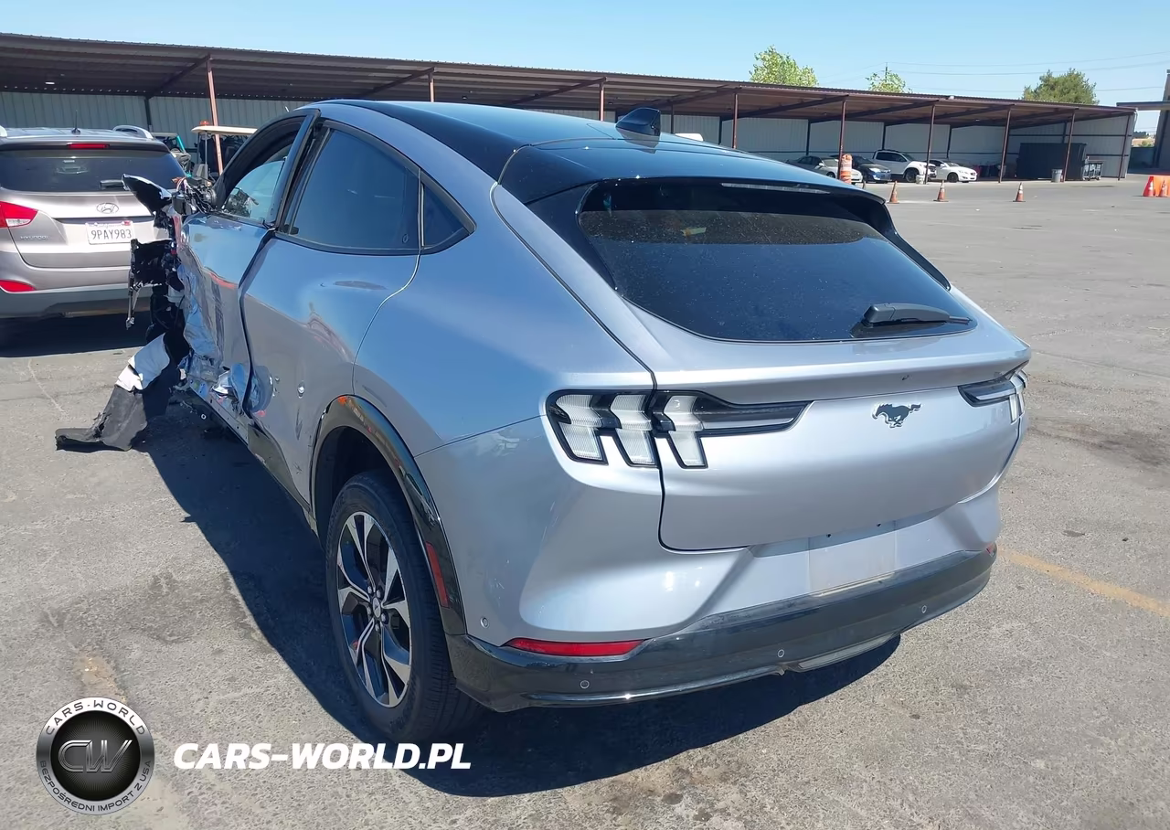 2022 Ford Mustang Mach-E Premium VIN:3FMTK3RM2NMA30888 - 3