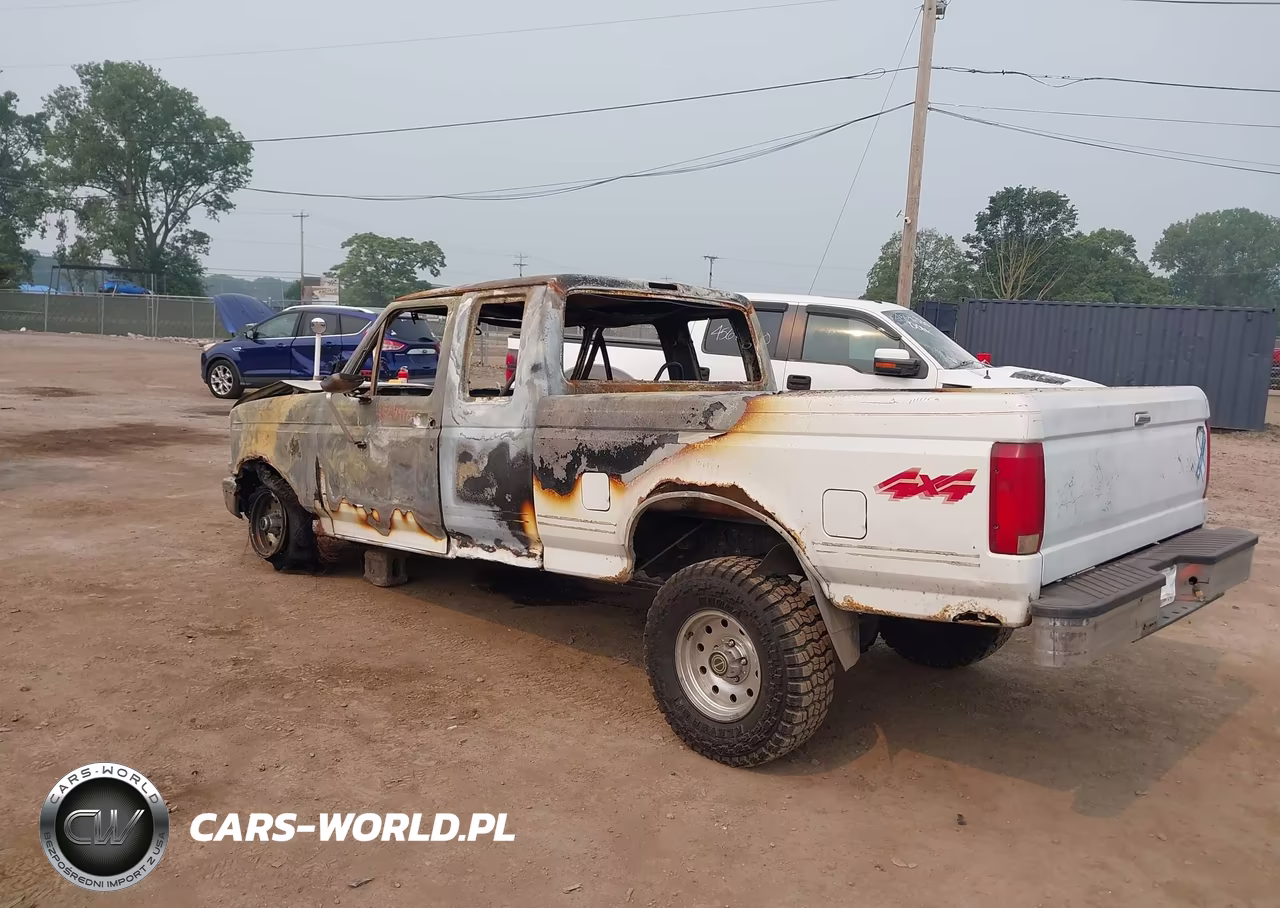 1995 Ford F150 VIN:1FTEX14N5SKA15033 - 3