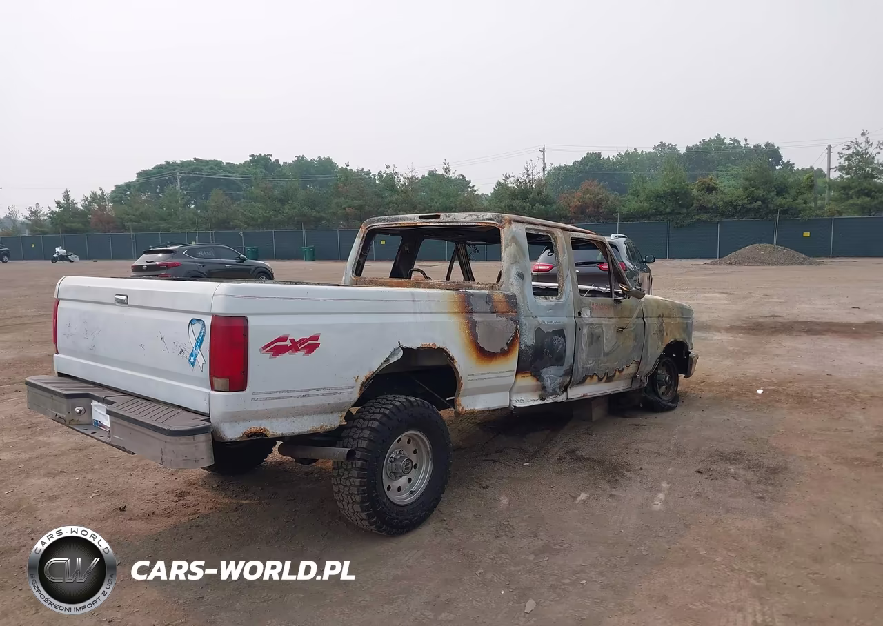 1995 Ford F150 VIN:1FTEX14N5SKA15033 - 4