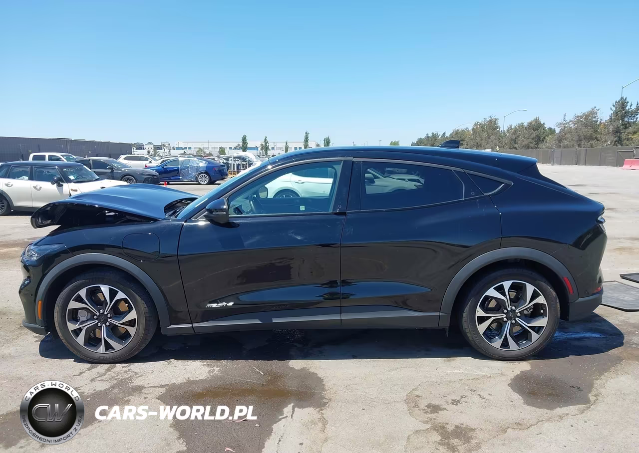 2024 Ford Mustang Mach-E Select VIN:3FMTK1R44RMA14444 - 14