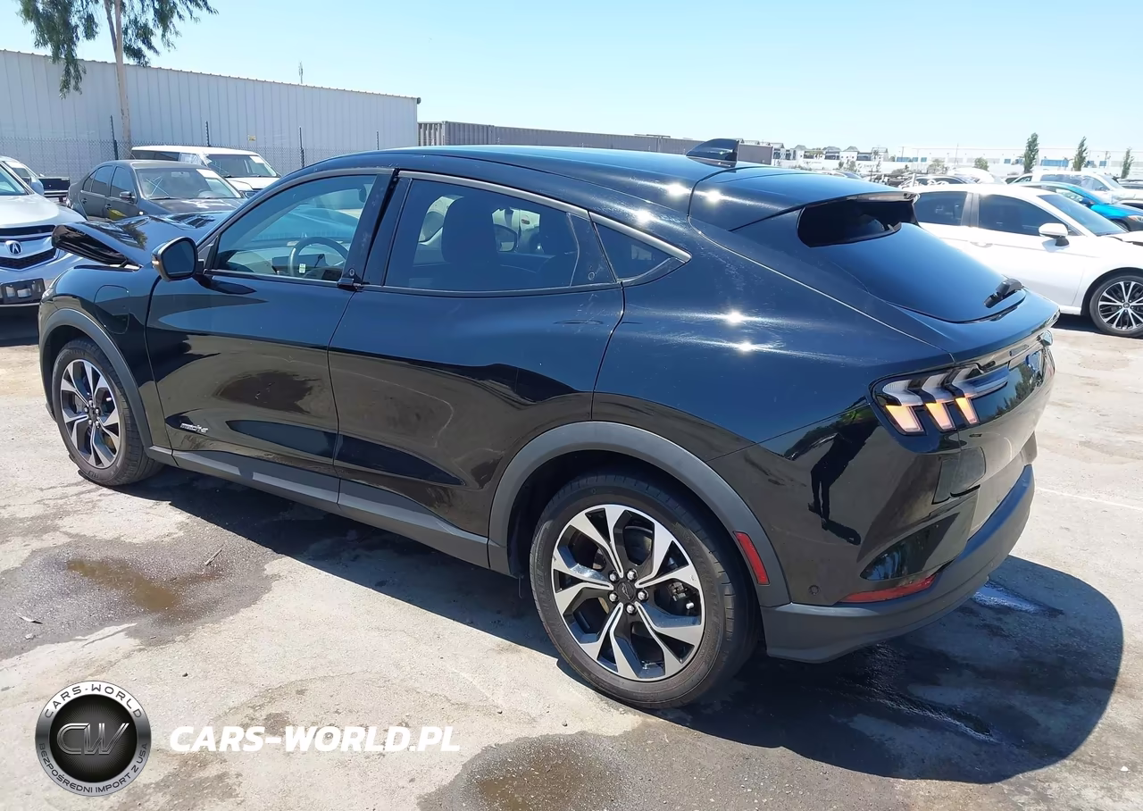 2024 Ford Mustang Mach-E Select VIN:3FMTK1R44RMA14444 - 3