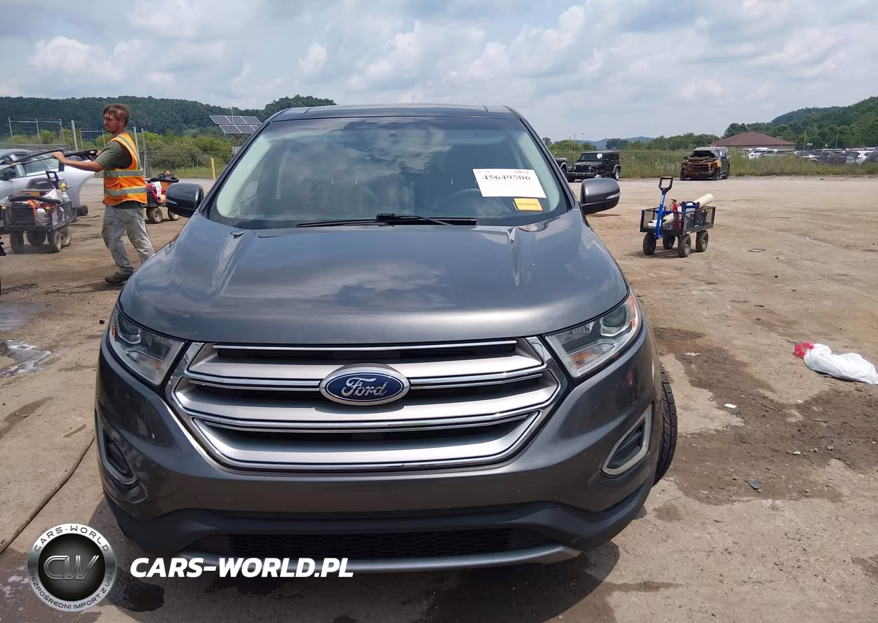 2016 Ford Edge Sel VIN:2FMPK4J91GBC64653 - 12