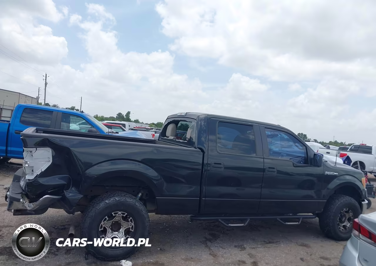 2010 Ford F-150 Fx2 Sport-Xl-Xlt VIN:1FTEW1C84AKE25741 - 13