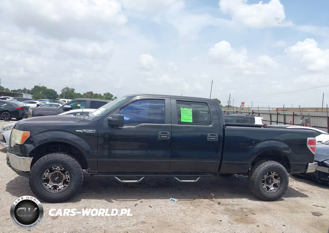 2010 Ford F-150 Fx2 Sport-Xl-Xlt VIN:1FTEW1C84AKE25741 - 14