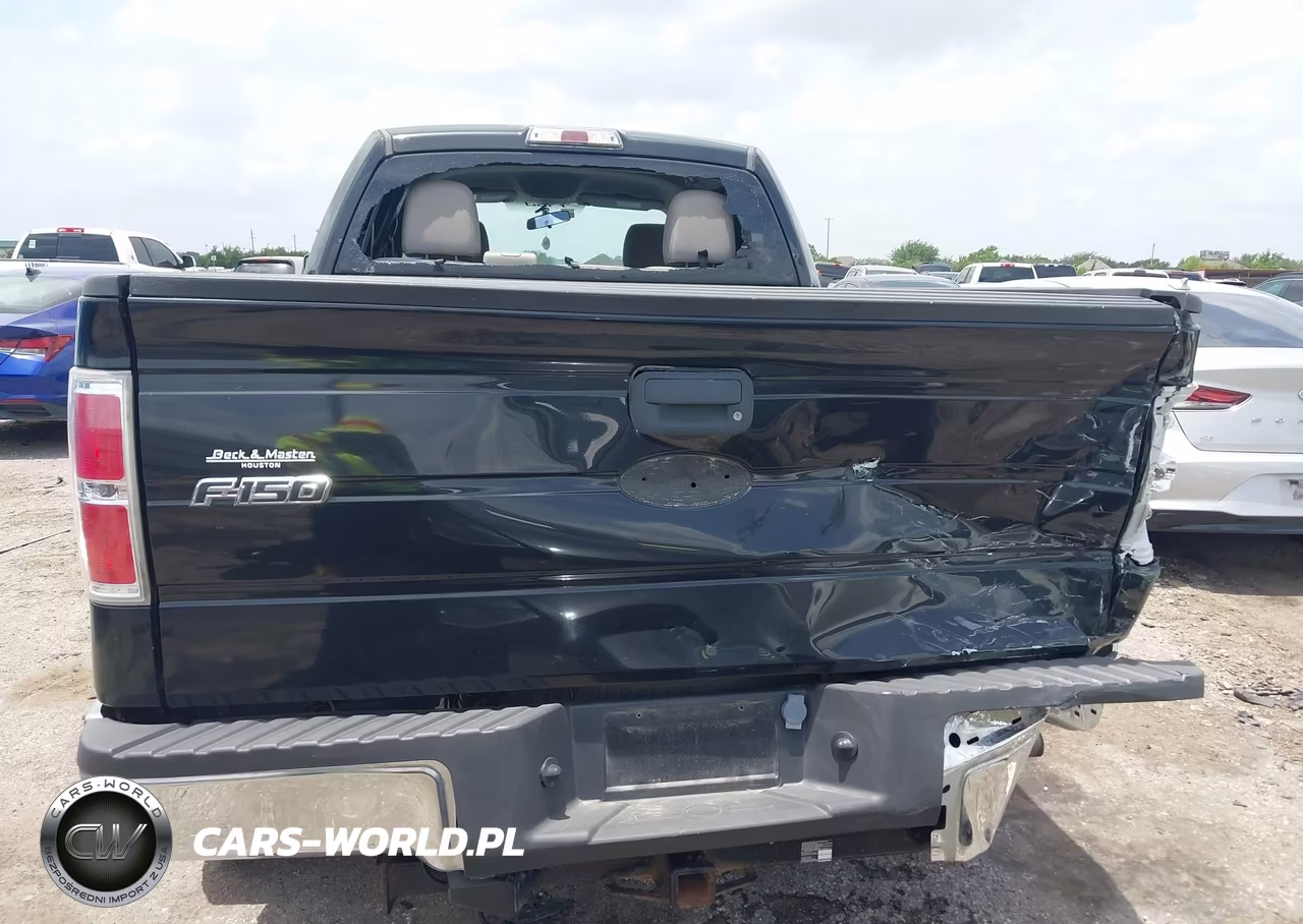 2010 Ford F-150 Fx2 Sport-Xl-Xlt VIN:1FTEW1C84AKE25741 - 16
