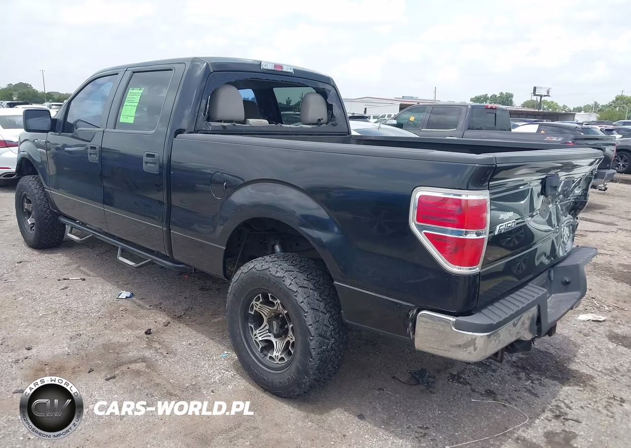 2010 Ford F-150 Fx2 Sport-Xl-Xlt VIN:1FTEW1C84AKE25741 - 3