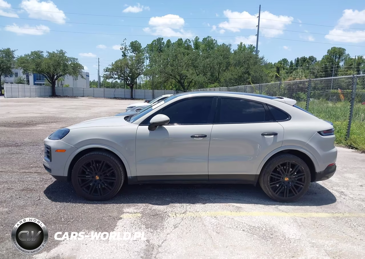 PORSCHE CAYENNE CO VIN:WP1BA2AY1RDA52862 - 14