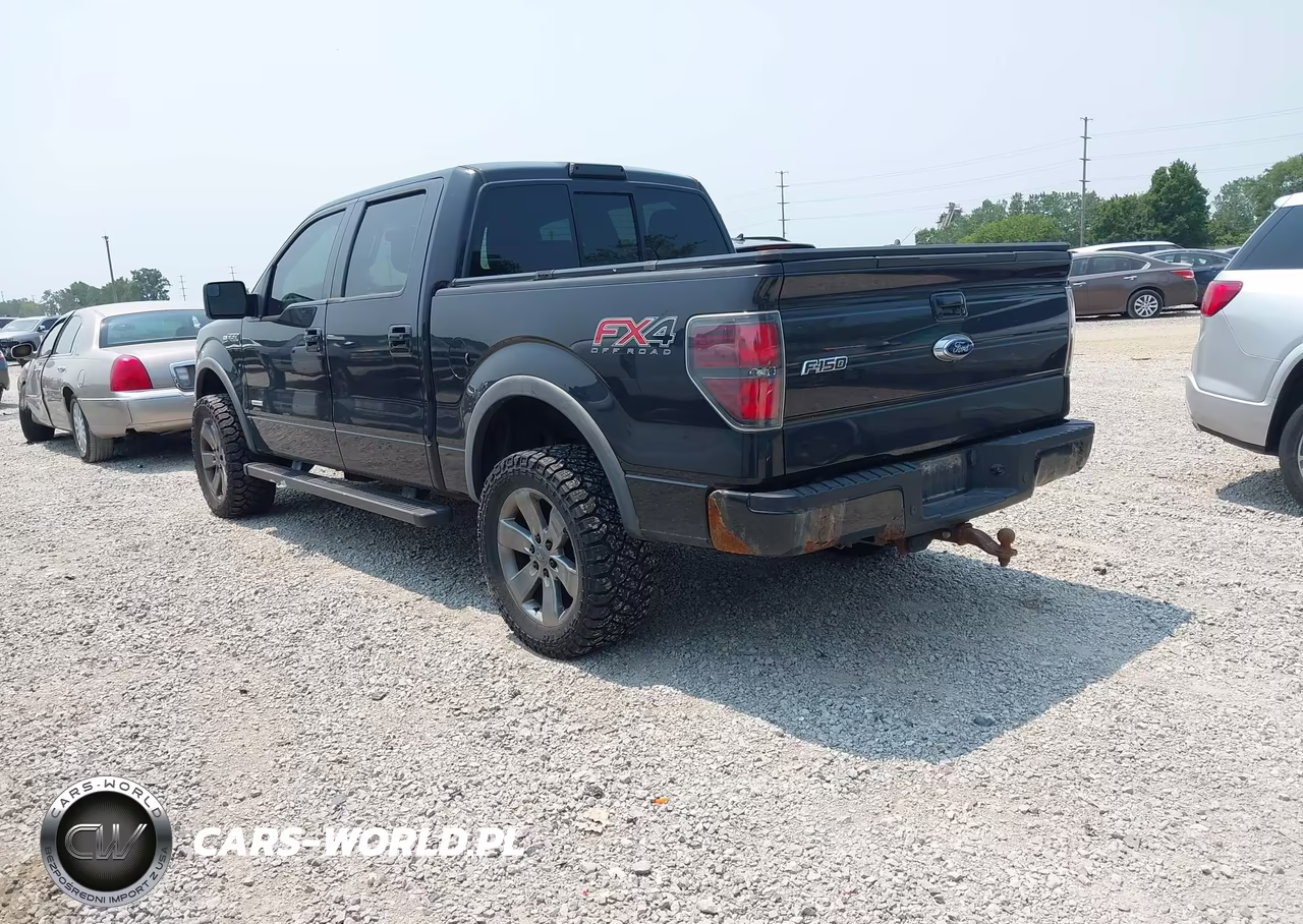 2013 Ford F-150 Fx4 VIN:1FTFW1ET4DFC04112 - 3