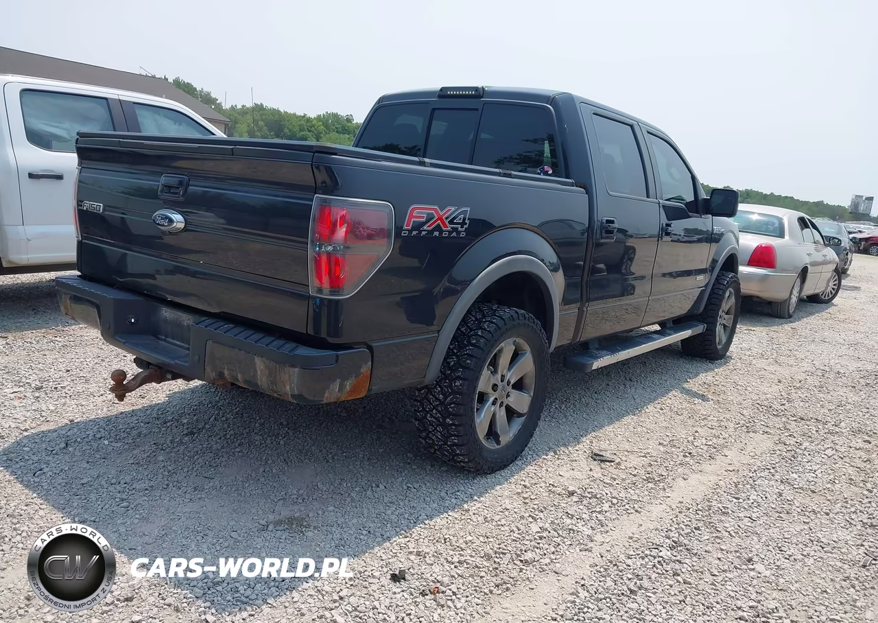 2013 Ford F-150 Fx4 VIN:1FTFW1ET4DFC04112 - 4