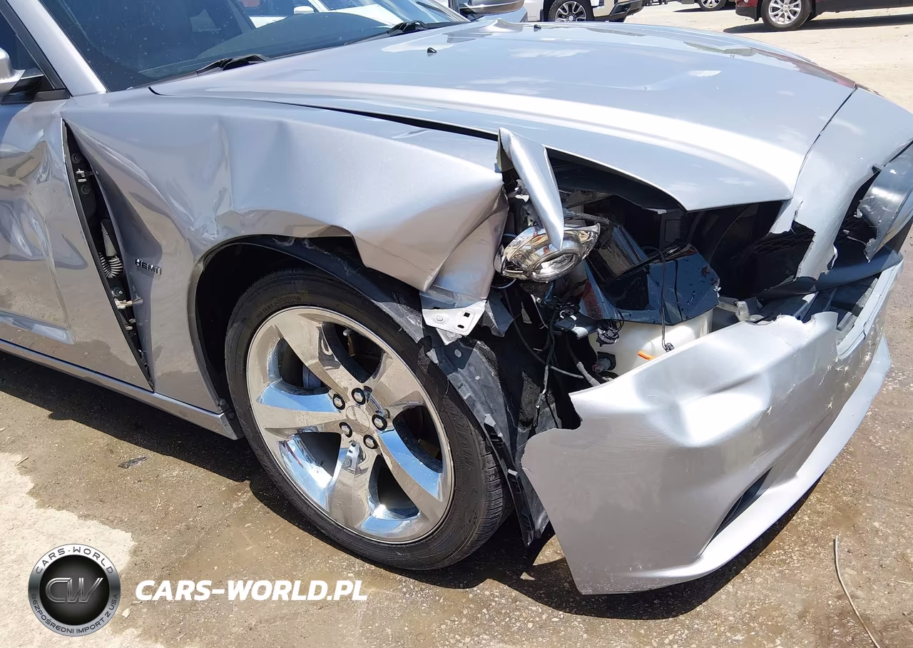 2014 Dodge Charger Road-Track VIN:2C3CDXCT4EH178095 - 6