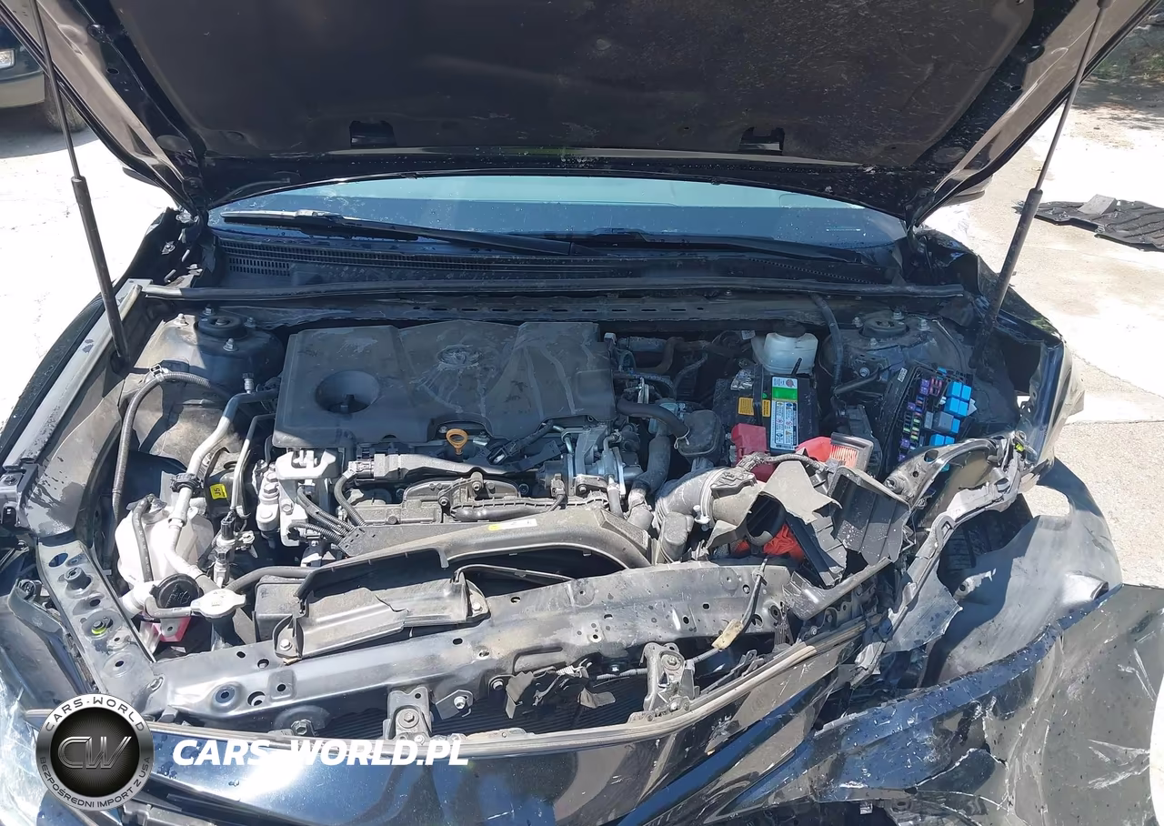 2020 Toyota Camry Le VIN:4T1C11AK7LU974518 - 10