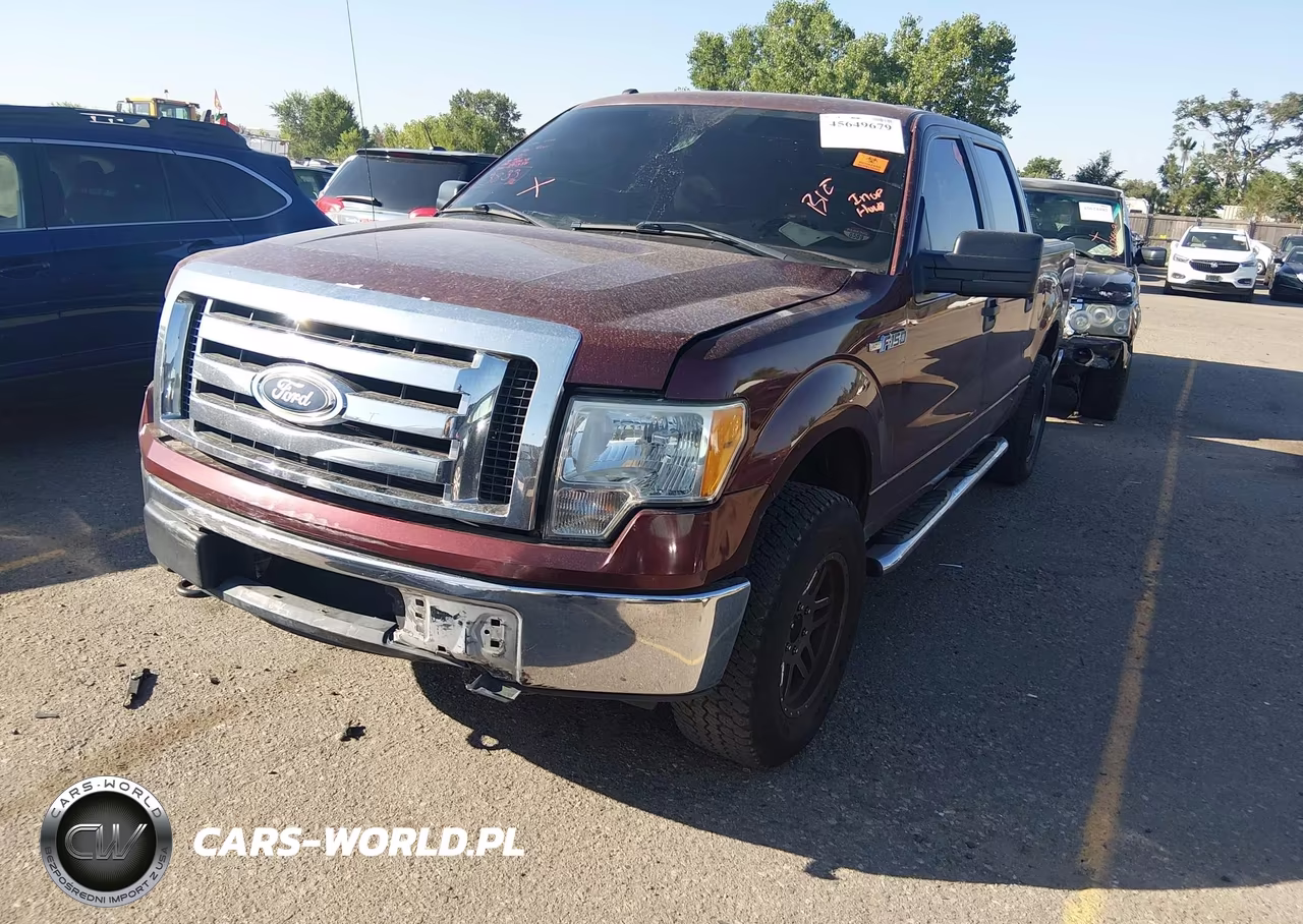 2010 Ford F-150 Fx4-Harley-Davidson-King Ranch-Lariat-Platinum-Xl-Xlt VIN:1FTFW1EV3AFD91338 - 12