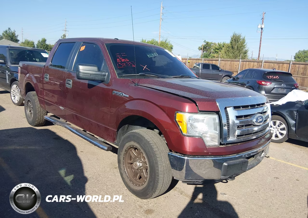 2010 Ford F-150 Fx4-Harley-Davidson-King Ranch-Lariat-Platinum-Xl-Xlt VIN:1FTFW1EV3AFD91338 - 13