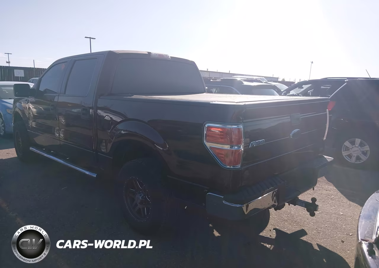 2010 Ford F-150 Fx4-Harley-Davidson-King Ranch-Lariat-Platinum-Xl-Xlt VIN:1FTFW1EV3AFD91338 - 14