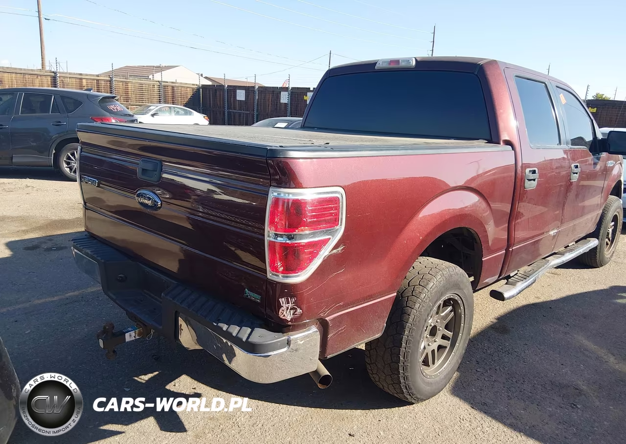 2010 Ford F-150 Fx4-Harley-Davidson-King Ranch-Lariat-Platinum-Xl-Xlt VIN:1FTFW1EV3AFD91338 - 16