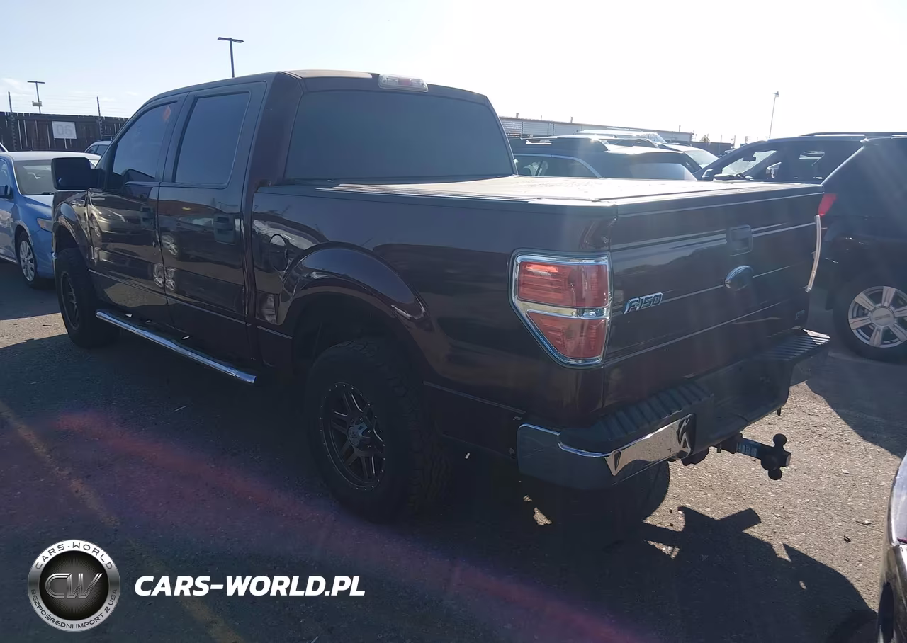 2010 Ford F-150 Fx4-Harley-Davidson-King Ranch-Lariat-Platinum-Xl-Xlt VIN:1FTFW1EV3AFD91338 - 3