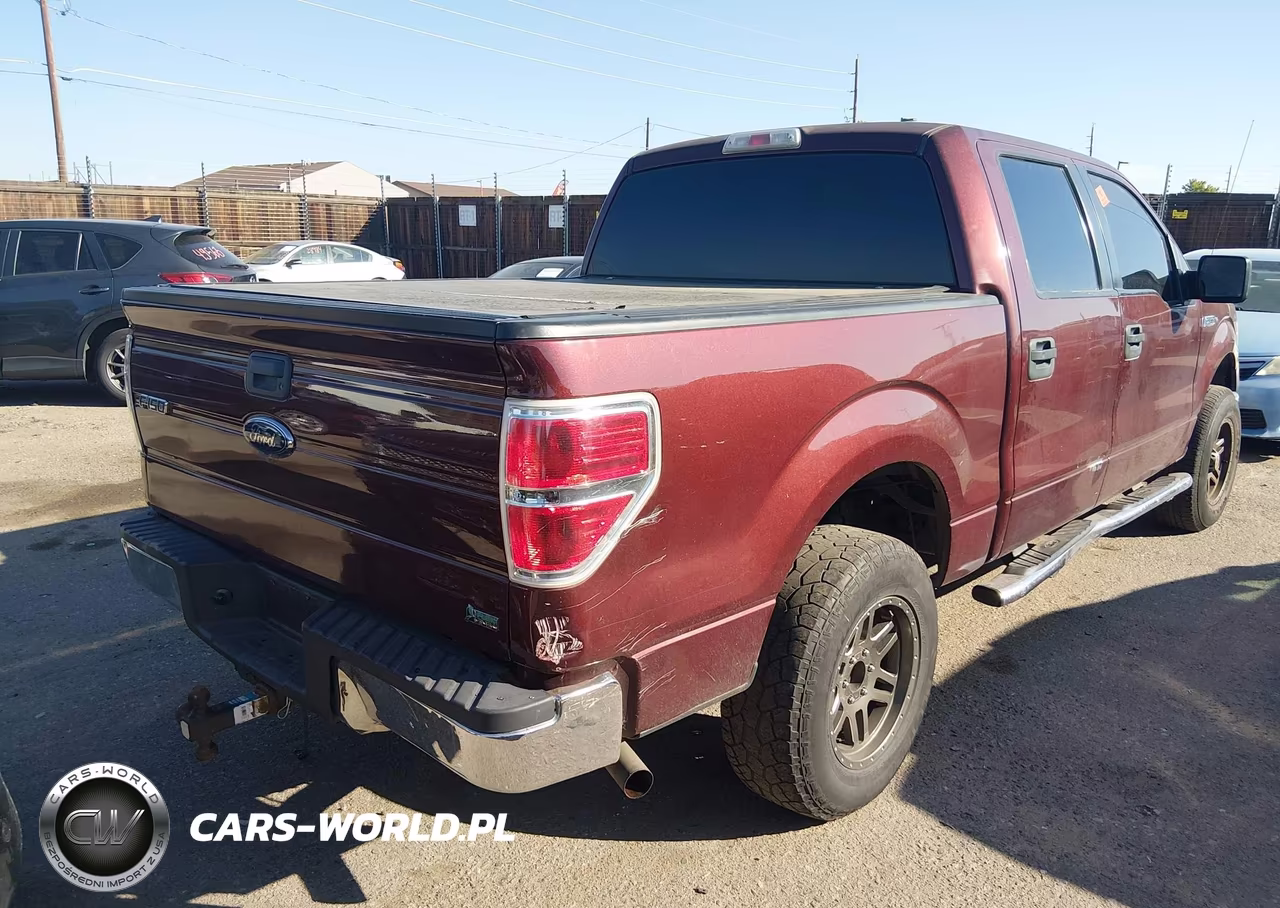 2010 Ford F-150 Fx4-Harley-Davidson-King Ranch-Lariat-Platinum-Xl-Xlt VIN:1FTFW1EV3AFD91338 - 4