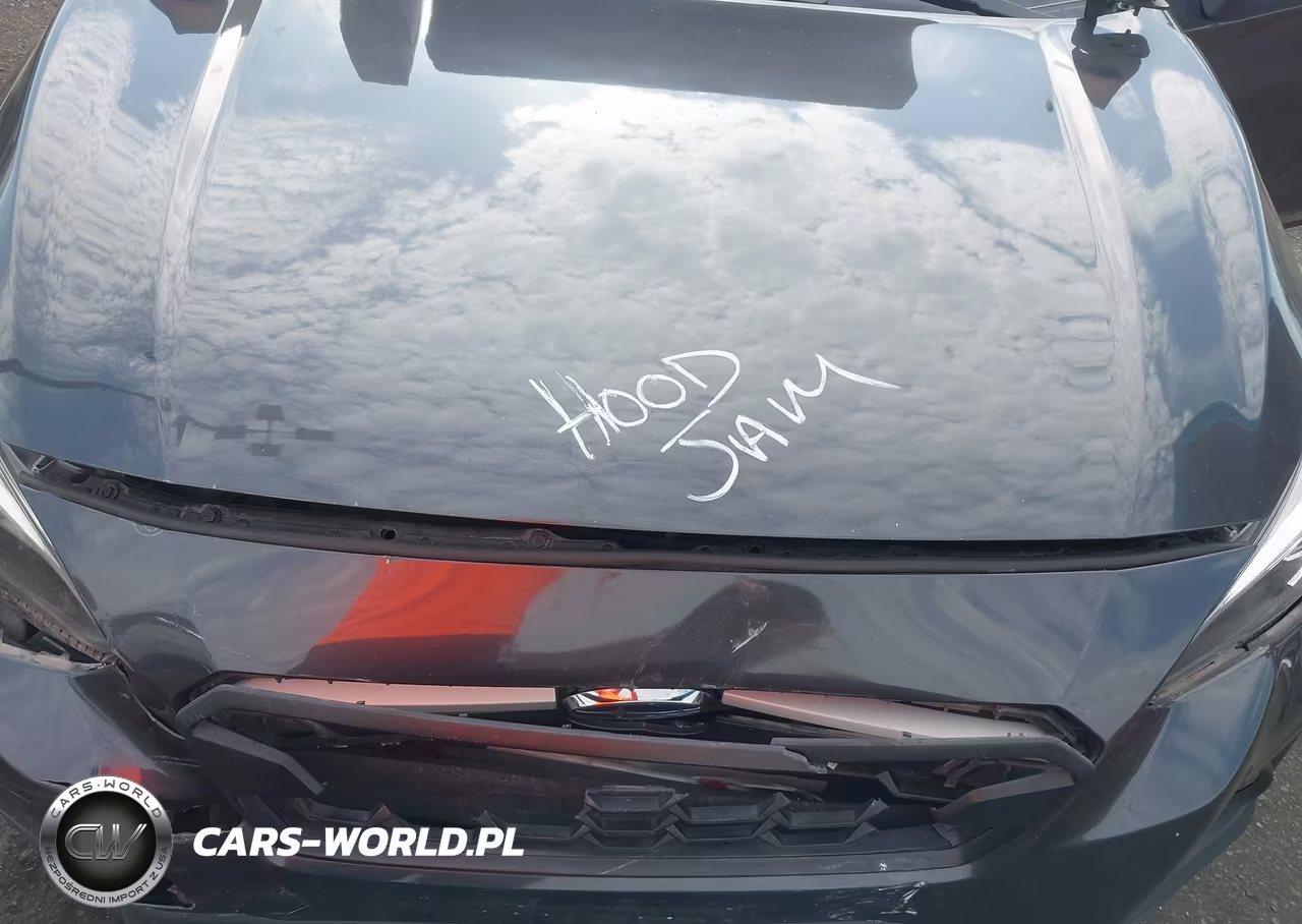2019 Subaru Crosstrek 2.0I Premium VIN:JF2GTACC1K8246787 - 10