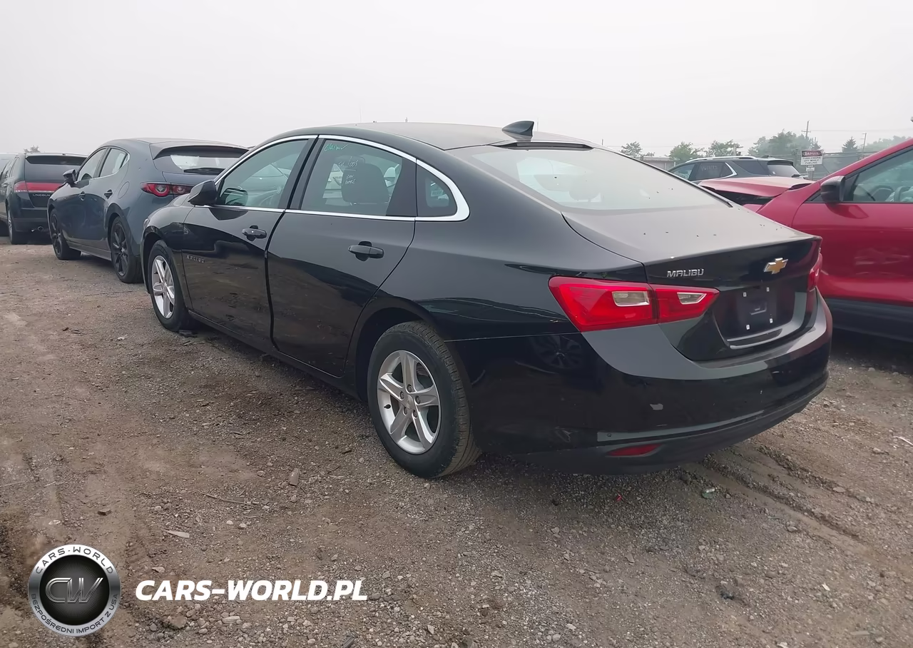 2023 Chevrolet Malibu Fwd 1Lt VIN:1G1ZD5ST0PF228841 - 3