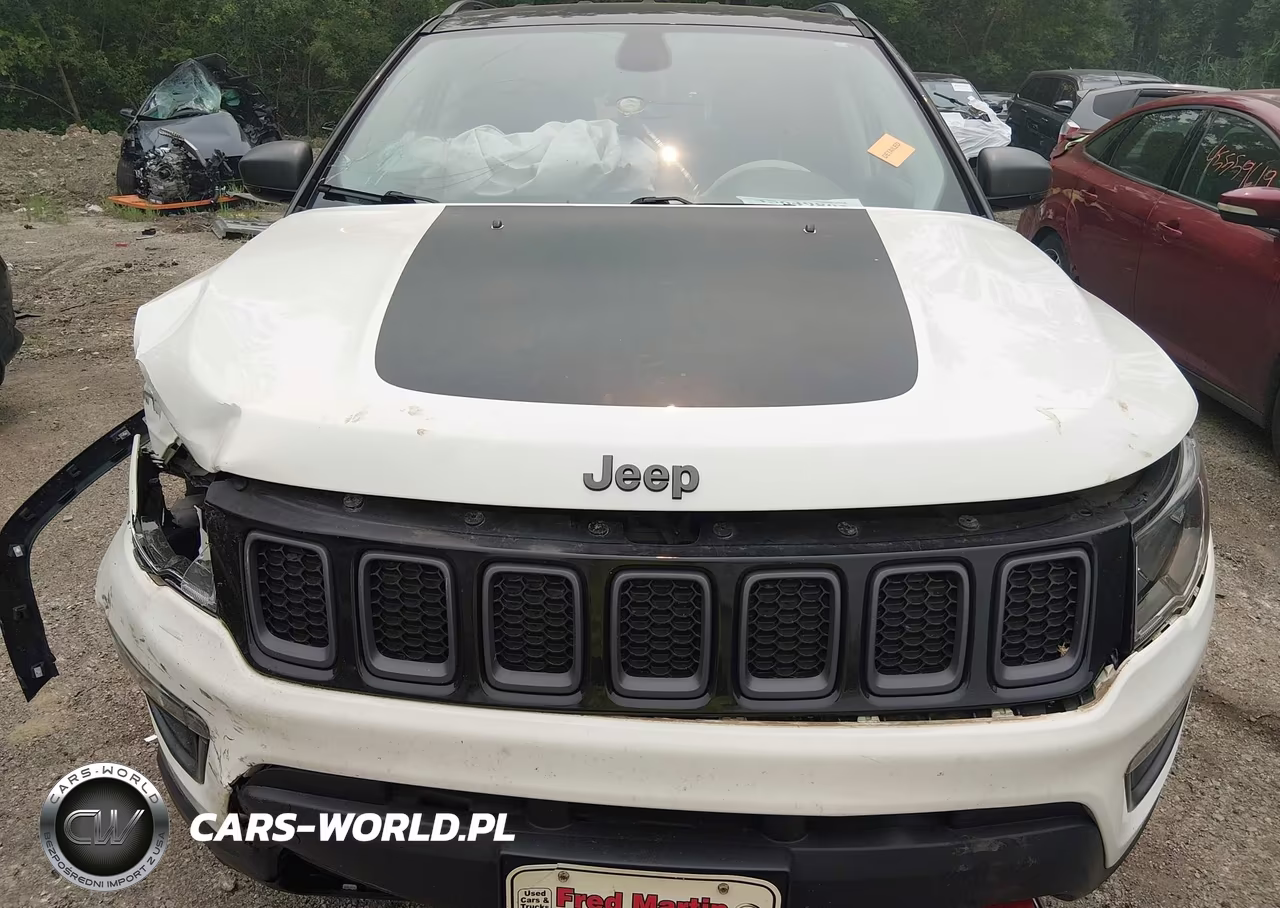 2019 Jeep Compass Trailhawk 4X4 VIN:3C4NJDDB3KT650534 - 12