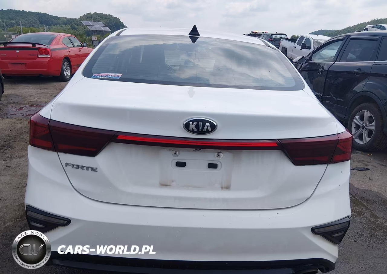 2020 Kia Forte Lxs VIN:3KPF24AD2LE143234 - 17