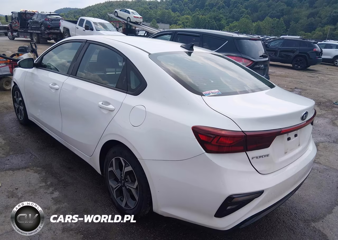 2020 Kia Forte Lxs VIN:3KPF24AD2LE143234 - 3