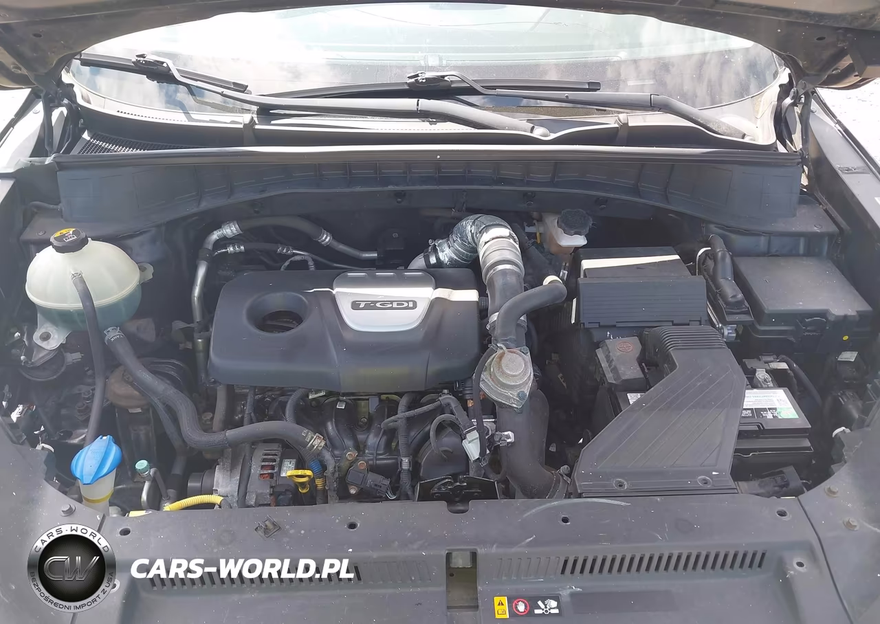 2017 Hyundai Tucson Sport VIN:KM8J3CA21HU431038 - 10