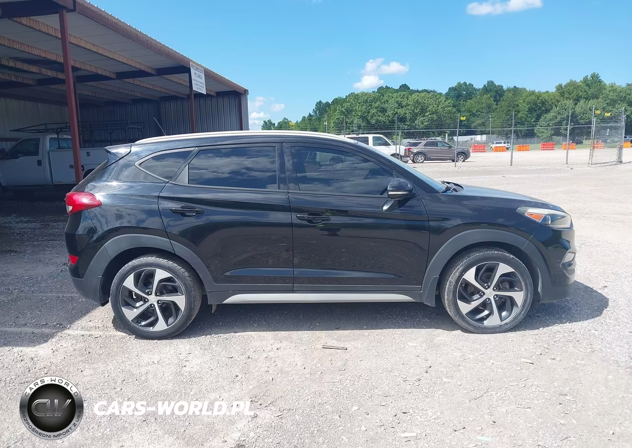 2017 Hyundai Tucson Sport VIN:KM8J3CA21HU431038 - 13