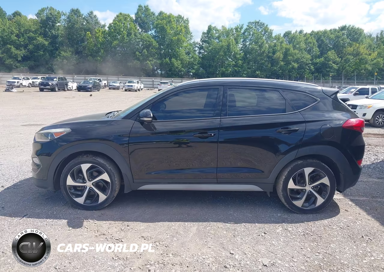 2017 Hyundai Tucson Sport VIN:KM8J3CA21HU431038 - 14
