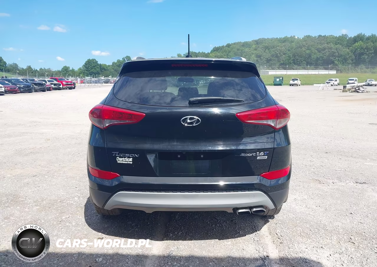 2017 Hyundai Tucson Sport VIN:KM8J3CA21HU431038 - 16
