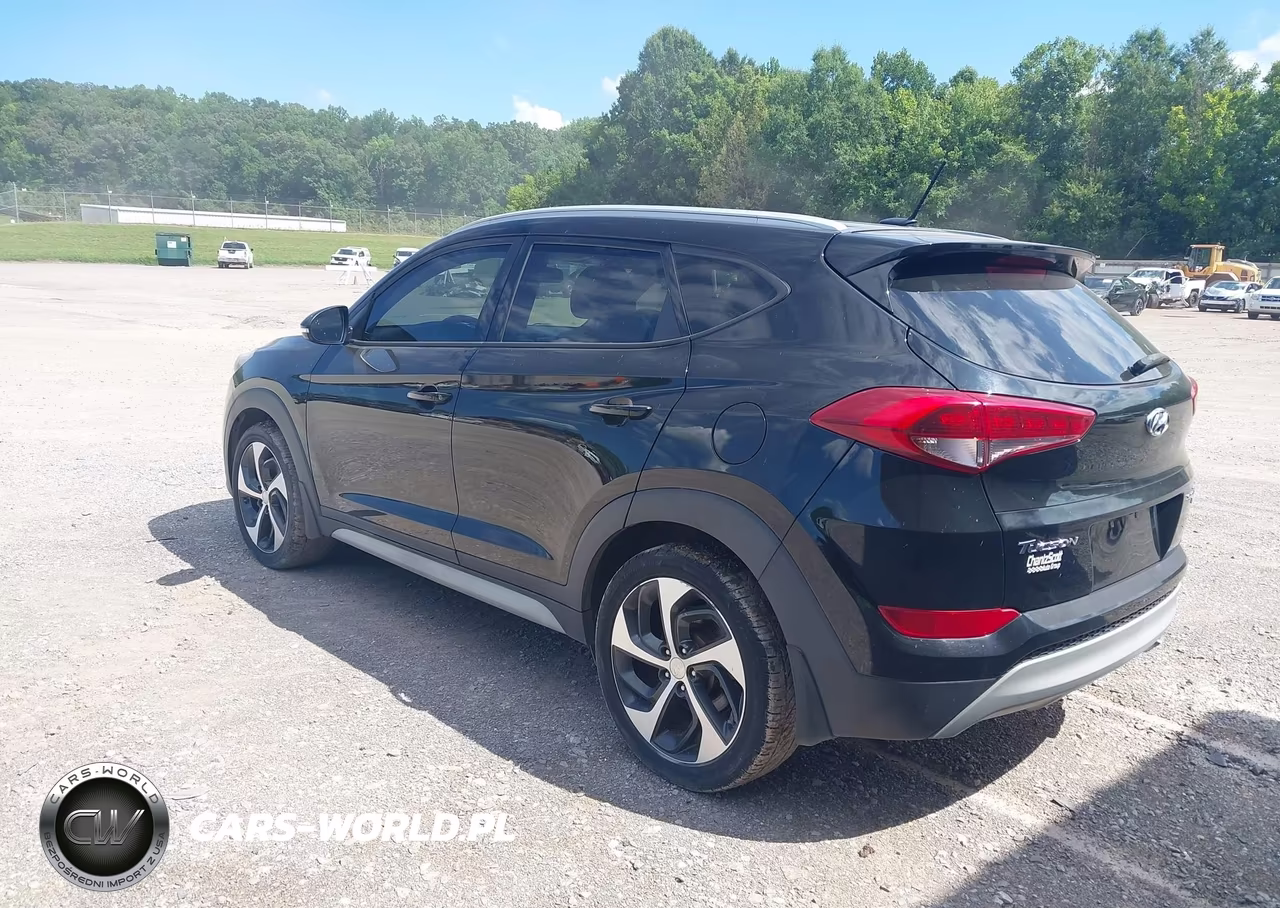 2017 Hyundai Tucson Sport VIN:KM8J3CA21HU431038 - 3