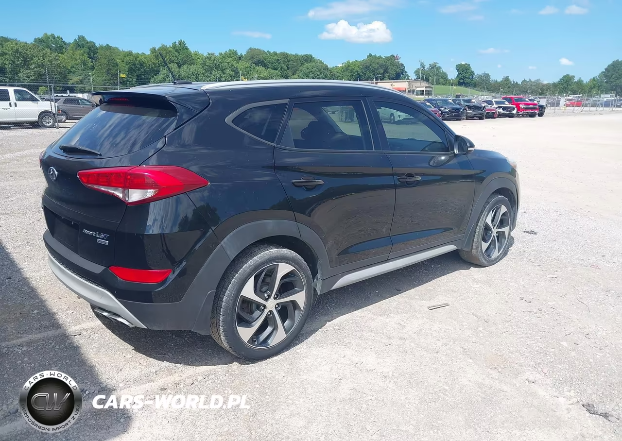 2017 Hyundai Tucson Sport VIN:KM8J3CA21HU431038 - 4