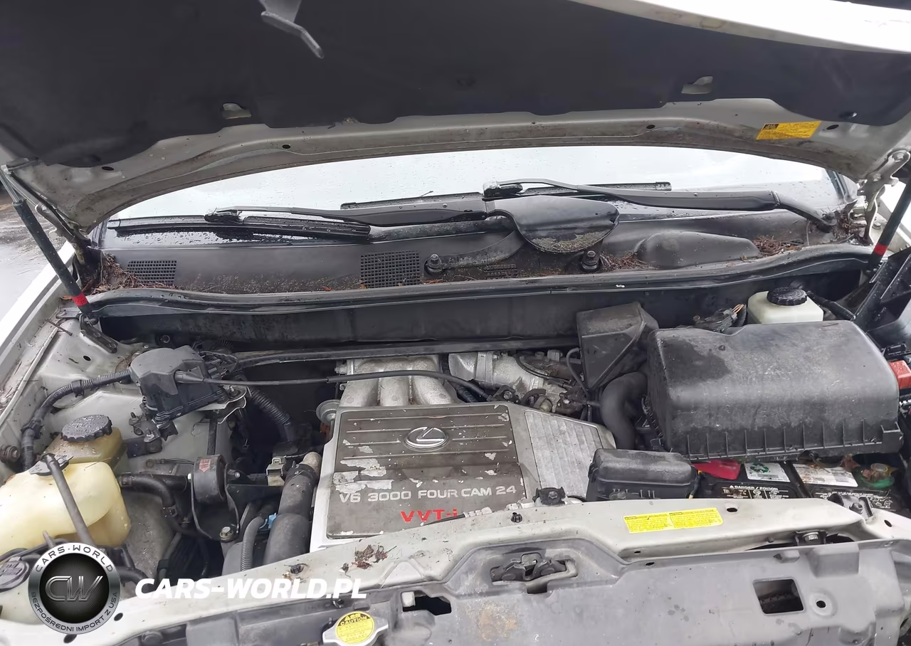 2001 Lexus Rx 300 VIN:JTJGF10UX10084381 - 10